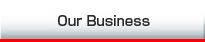 Our Business