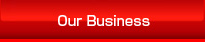 Our Business