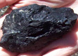 Coal(thermal coal)