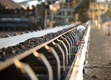Coal transport conveyor belts